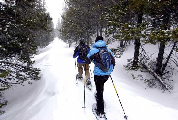 Two people on skies traversing a trail covered in snow