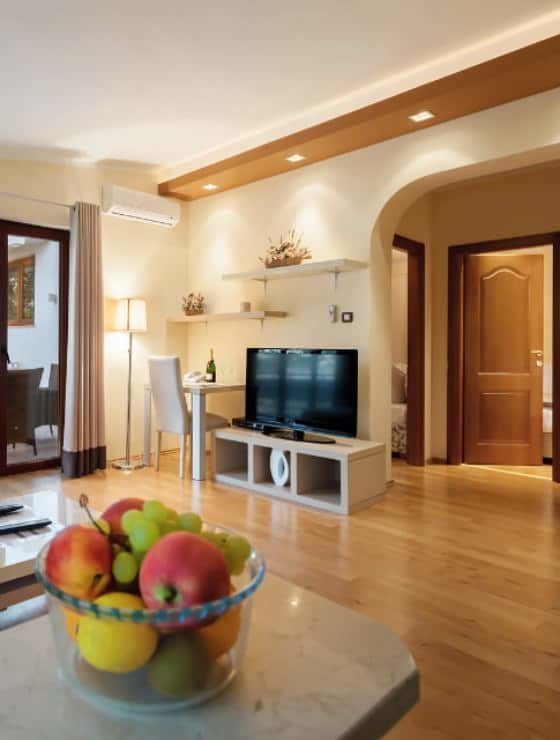 suite with TV
