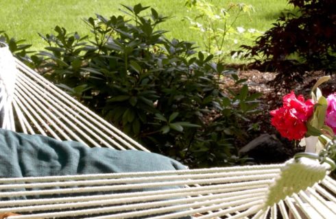 Close up view of hammock near green bushes and grass