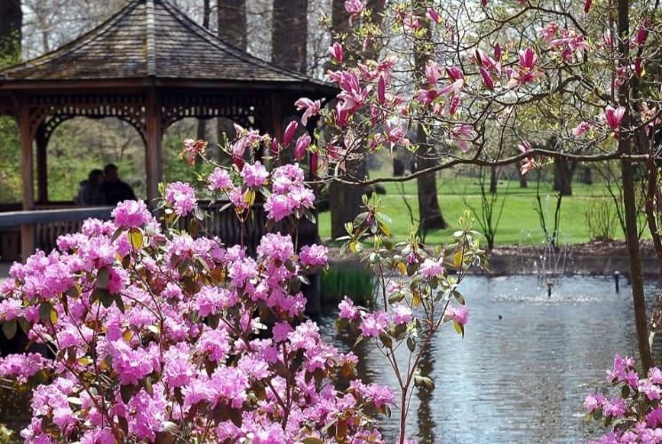 gazebo and pond